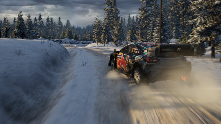 EA Sports WRC 24