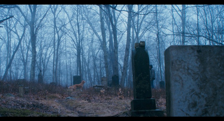 (Duży) chłopiec i jego pies, Pieskie życie – recenzja filmu Good Boy