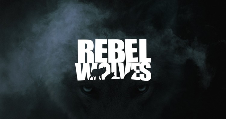 8. Rebel Wolves – Nowa perła w koronie polskiej branży, Najbogatsze polskie studia – 10 deweloperów siedzących na pieniądzach