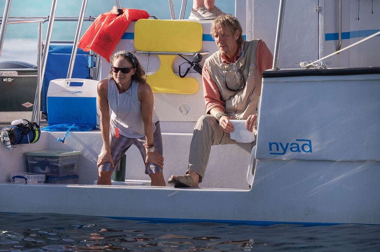 Jodie Foster i Annette Bening znakomitym duetem w filmie Nyad, Nyad – recenzja. Jodie Foster i Annette Bening w filmie o niezwykłym wyczynie