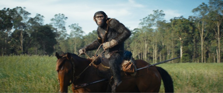 Bóg Cezar, Królestwo Planety Małp – recenzja filmu. Małpy nadal razem silne