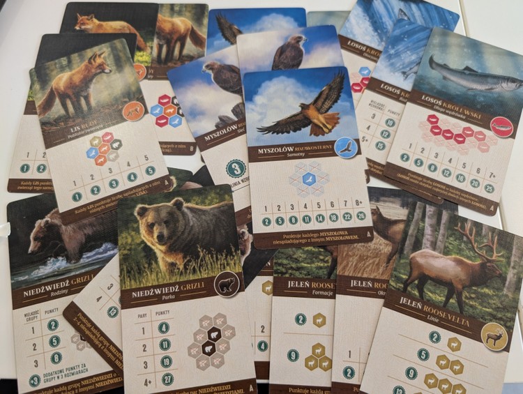 Familijna, ale wymagająca mnóstwa logiki, Kaskadia - recenzja. Gra idealna dla (prawie) każdego?