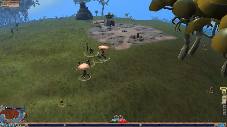 Spore