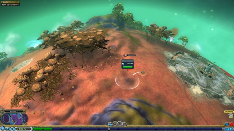Spore