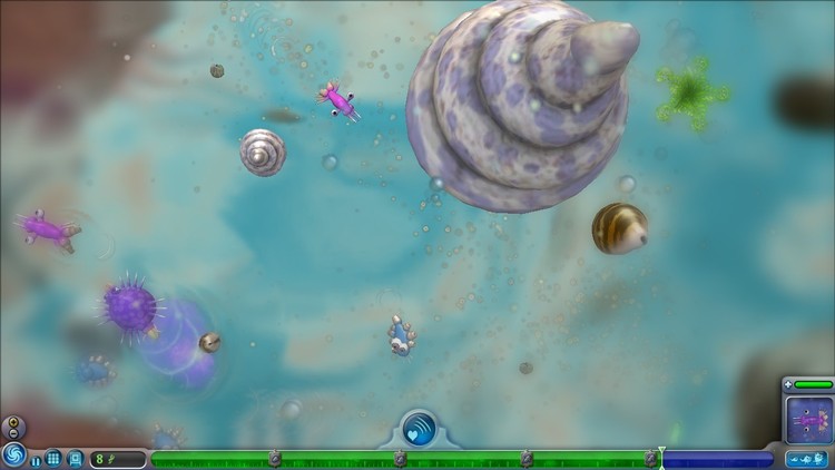 Spore