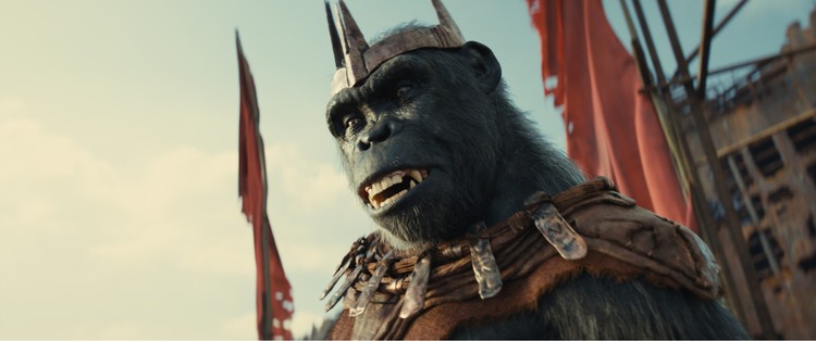 Piękny początek nowej trylogii, Królestwo Planety Małp – recenzja filmu. Małpy nadal razem silne