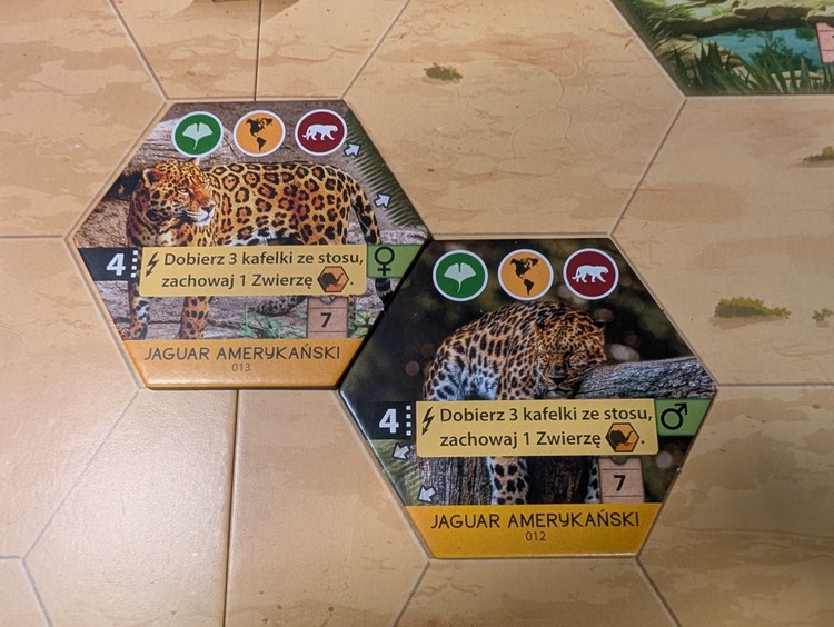 Zagrożone gatunki warto łączyć w pary