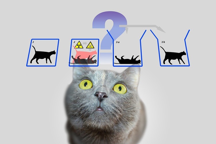 Co ma kot do komputera?, Czy komputery kwantowe to komputery przyszłości? Tak, ale bardzo odległej