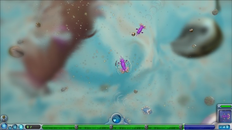 Spore