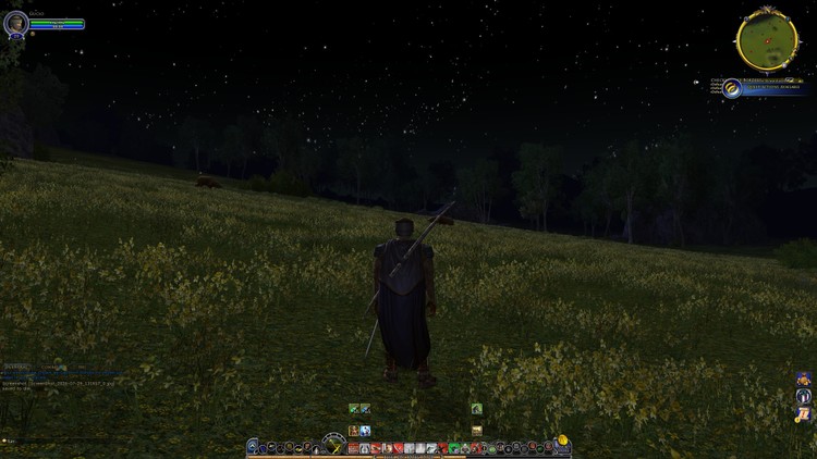The Lord of the Rings Online