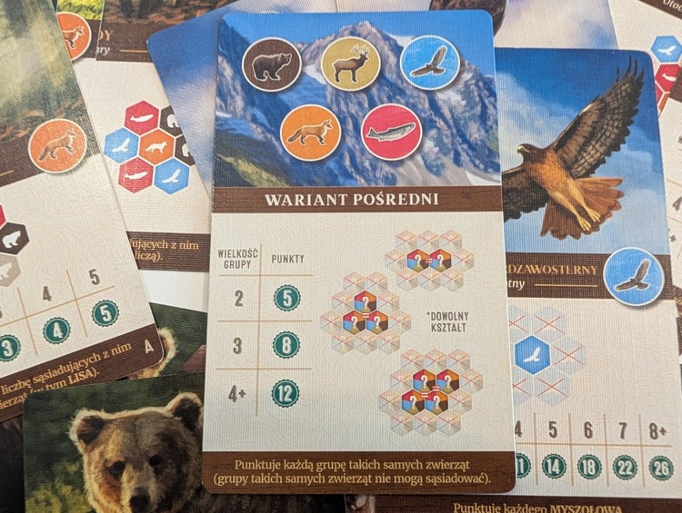 Wariant dziecięcy, upraszczający grę