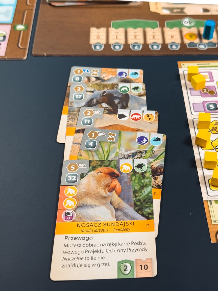 Zooformacja Marsa?, Ark Nova - recenzja. Budujemy zoo