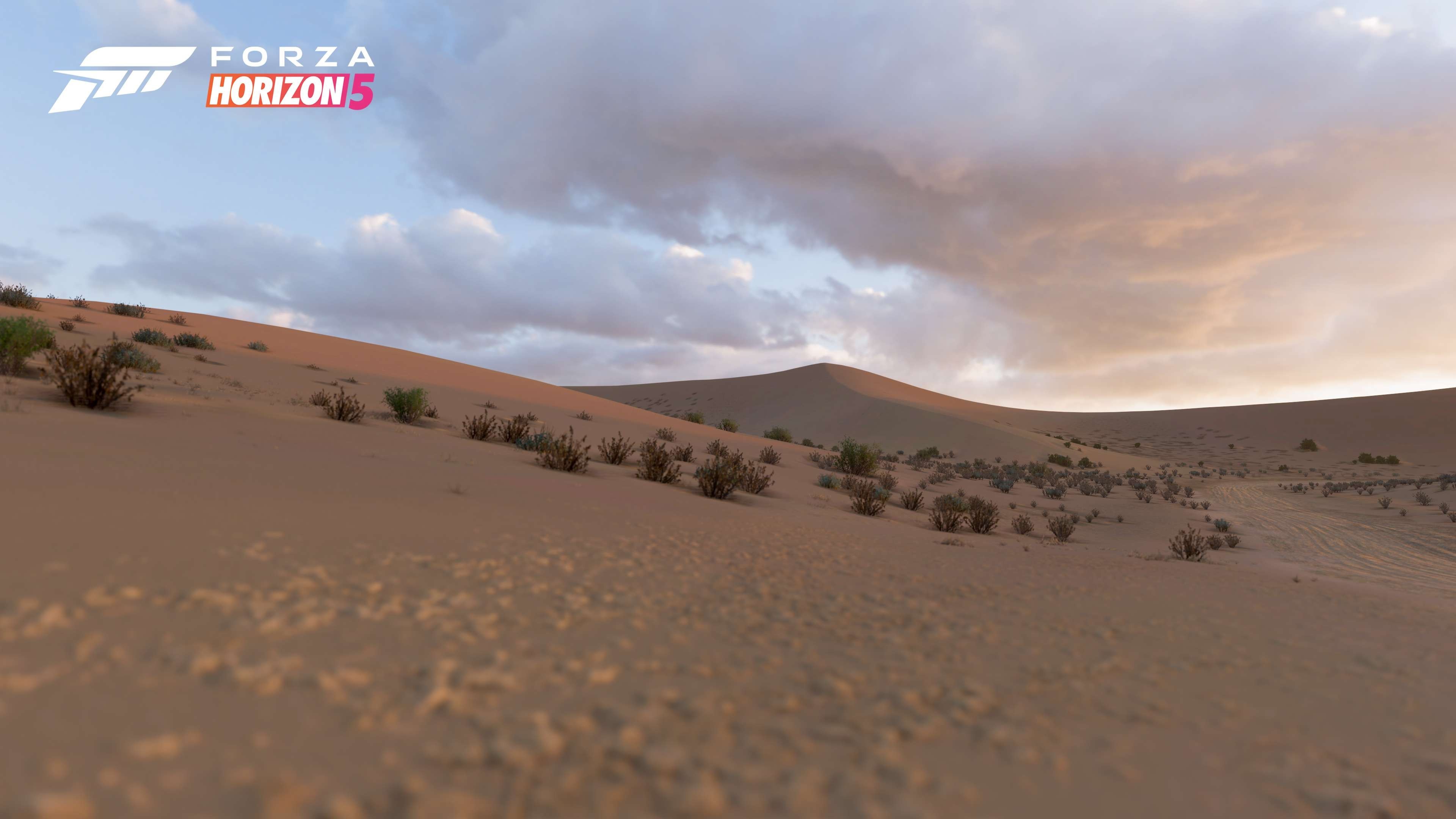 Forza Horizon 5 - zrzuty ekranu w 4K