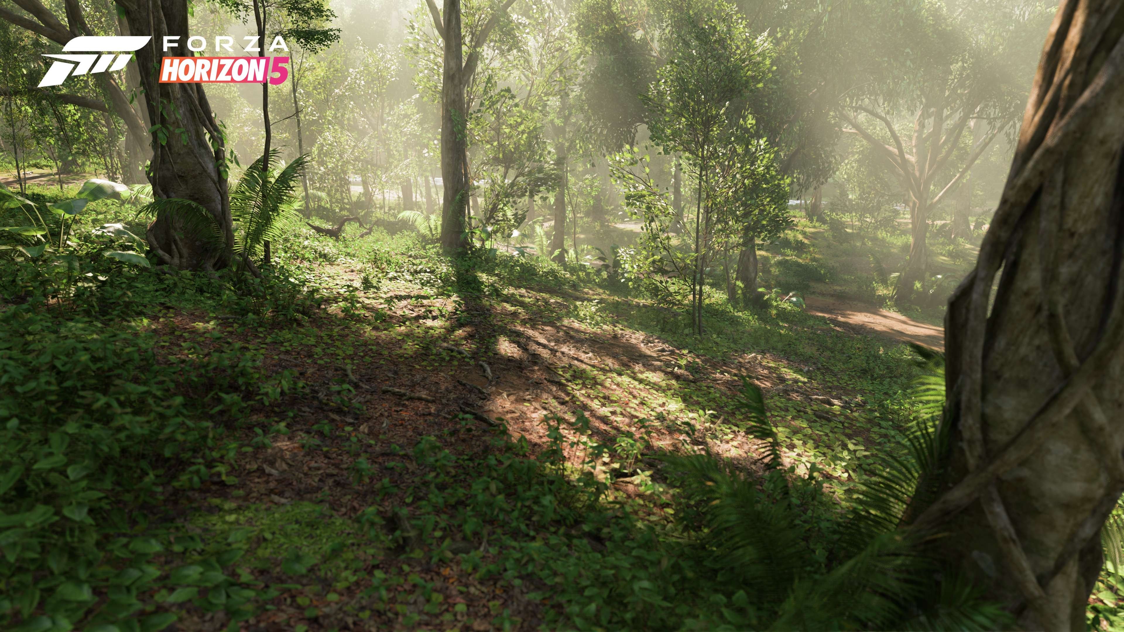 Forza Horizon 5 - zrzuty ekranu w 4K