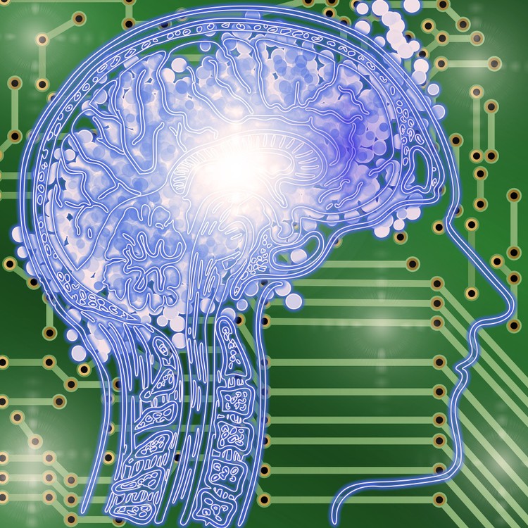 Amerykanie obawiają się sztucznej inteligencji. Najbardziej boją są wyborcy Trumpa