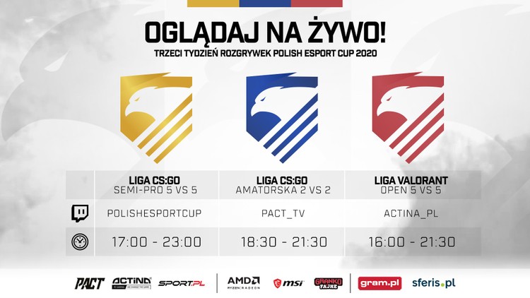 POLISH ESPORT CUP 2020 - decydująca faza rozgrywek!