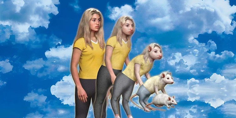 Animorphs