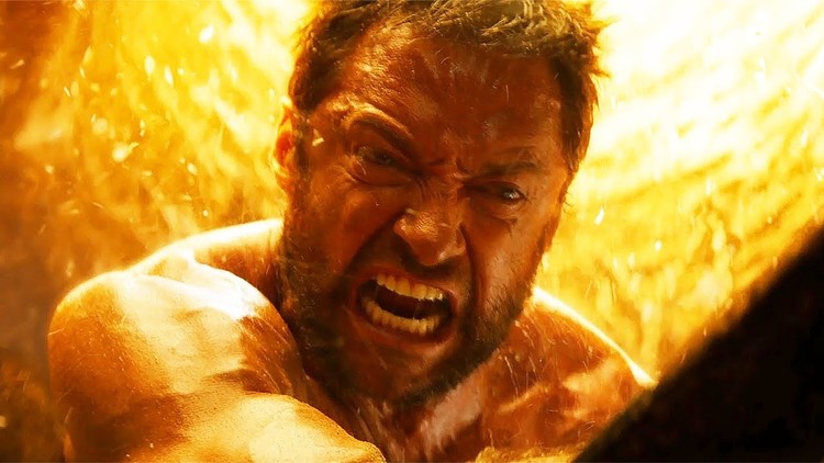 Wolverine