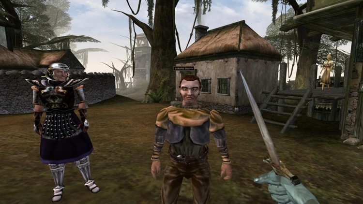 The Elder Scrolls III: Morrowind