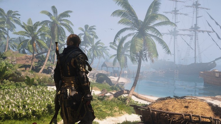 Assassin’s Creed Black Flag Resynced