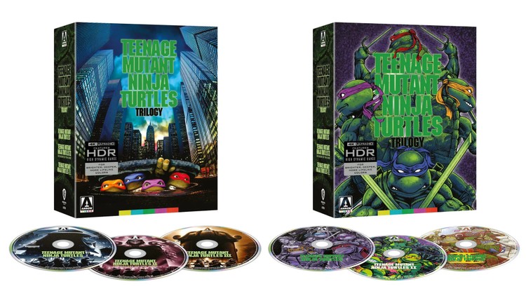 Wojownicze Żółwie Ninja