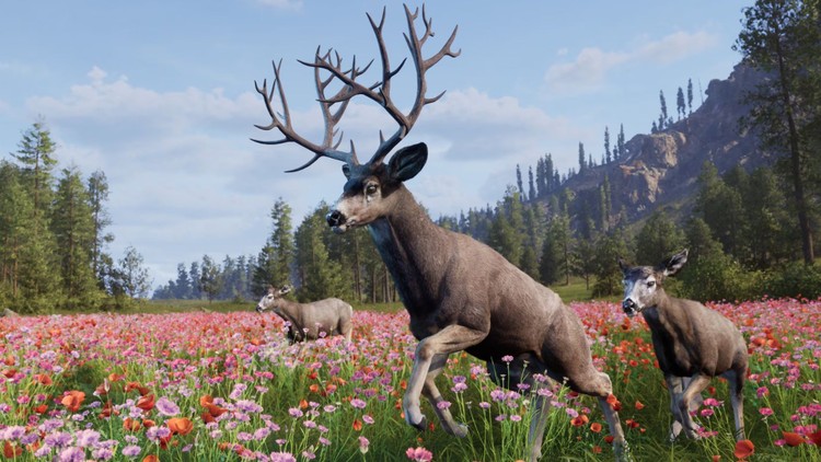 Way of the Hunter 2