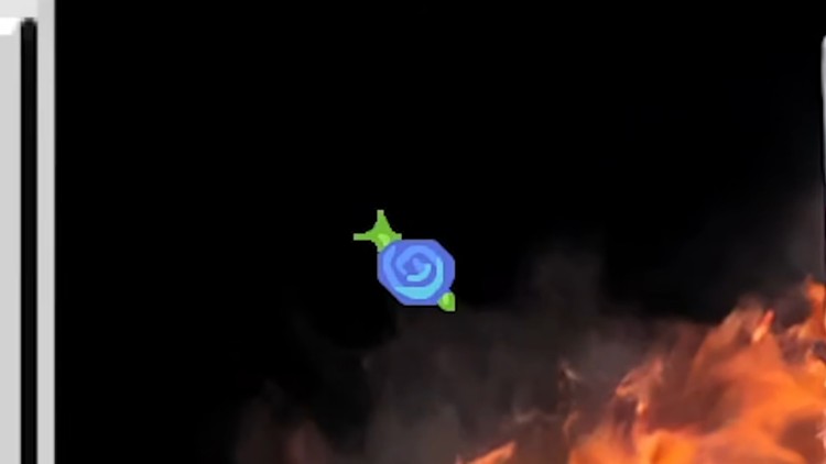 Don't Touch the Snail