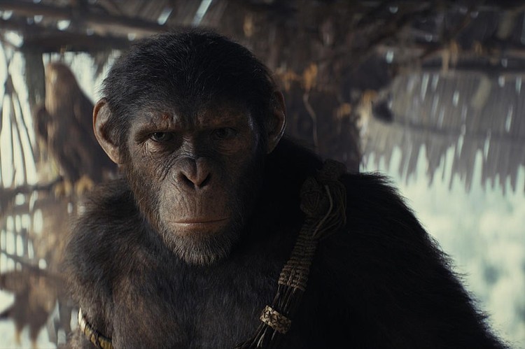 Królestwo Planety Małp będzie początkiem nowej trylogii filmowej