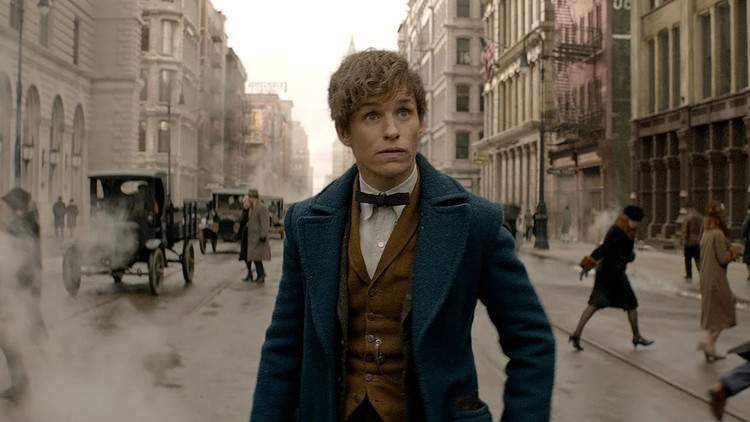Kim z zawodu jest Newt Scamander?
