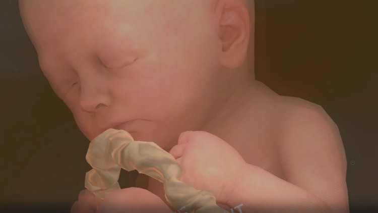 Death Stranding Odradek: Tokyo Prototype