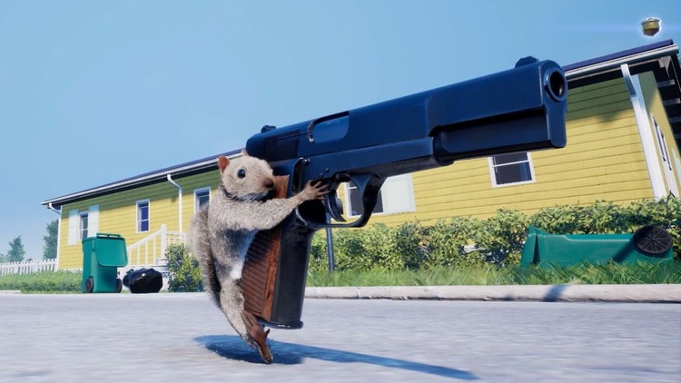 Squirrel with a Gun