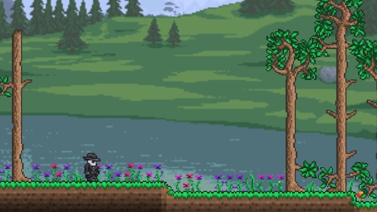 Terraria