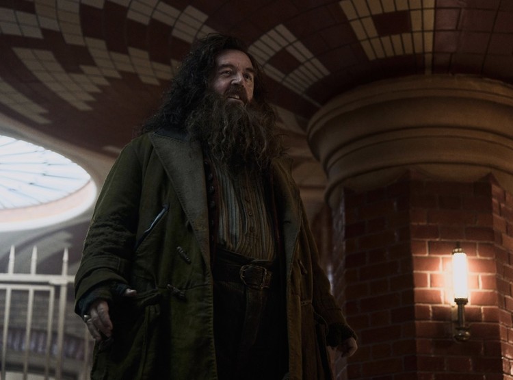 Harry Potter i Kamień Filozoficzny – Hagrid