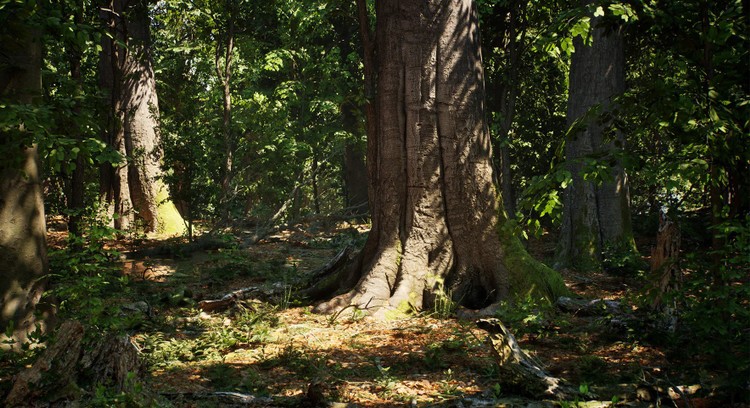 Unreal Engine 5 ponownie zachwyca. Piękna prezentacja lasu w różnych porach roku