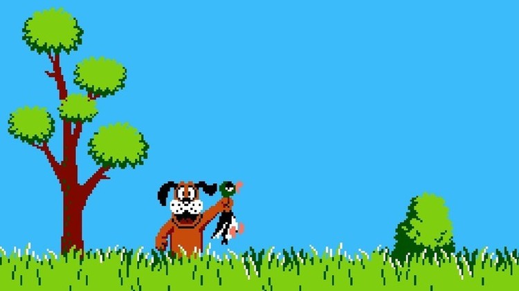 Duck Hunt