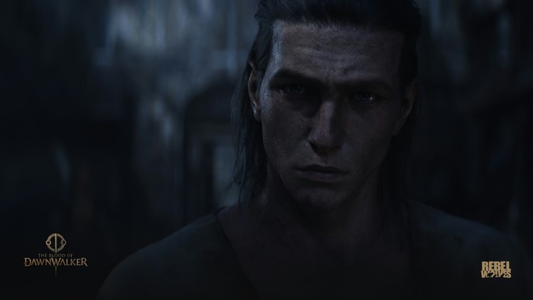 The Blood of Dawnwalker