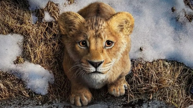 Mufasa: Król Lew