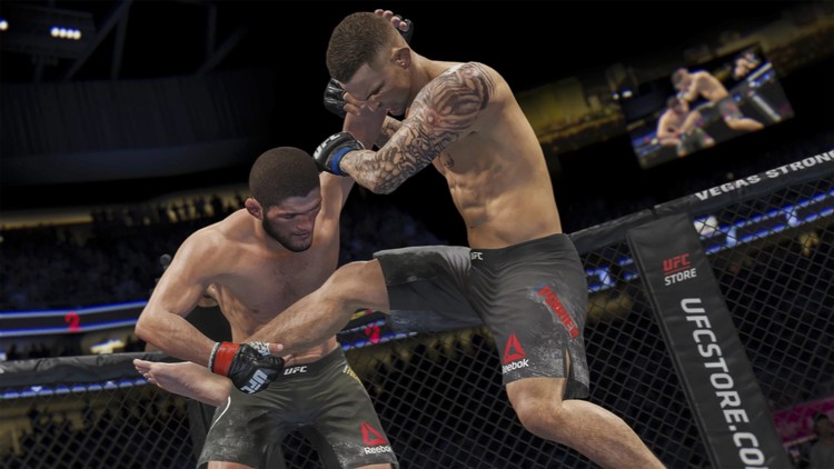 EA Sports UFC 5 zapowiedziane. Electronic Arts zaprasza na prezentację gry