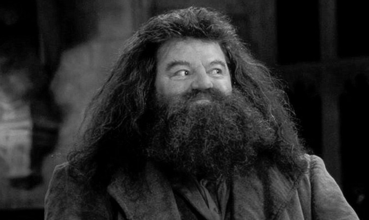 Robbie Coltrane nie żyje. Aktor znany z roli Hagrida zmarł w wieku 72 lat