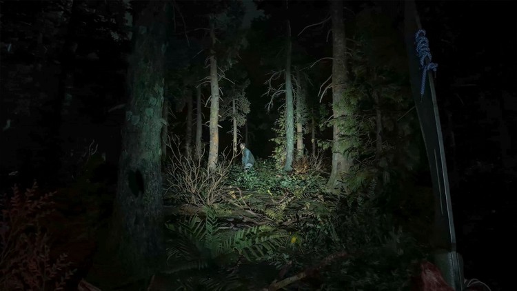 Dying Light: The Beast