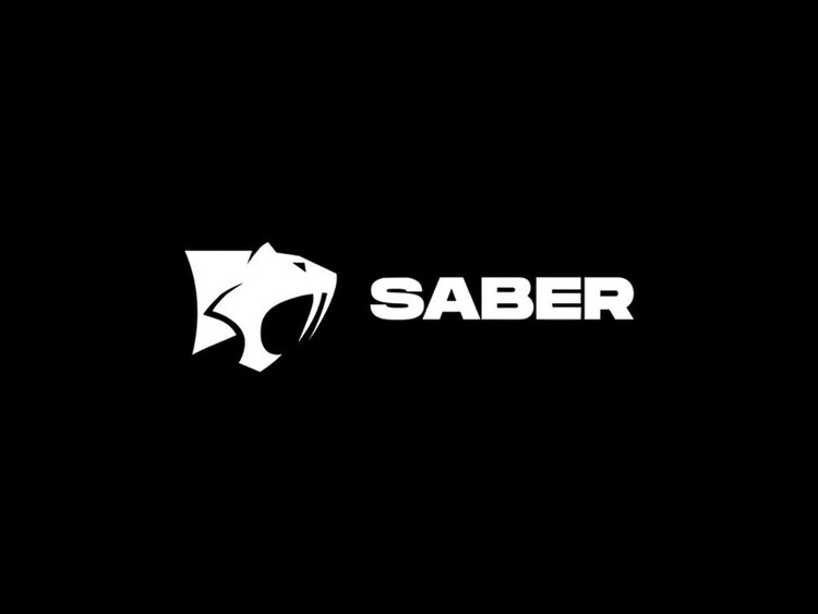 Saber Interactive