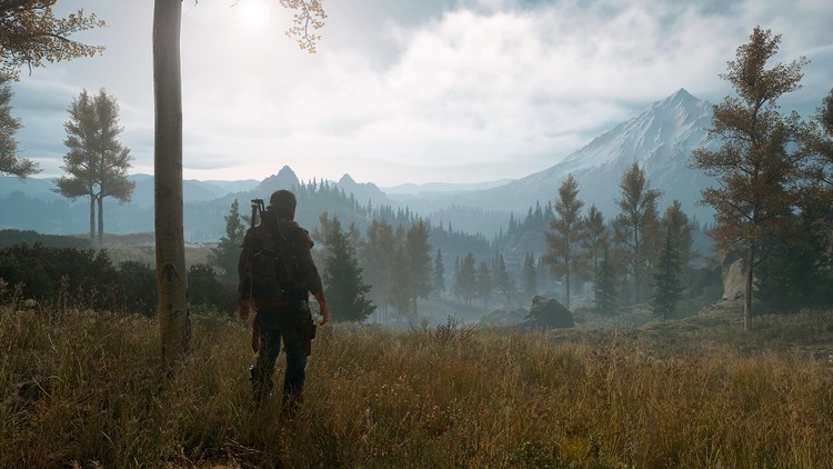 W jakim stanie rozgrywa się akcja gry Days Gone?