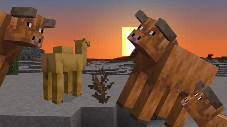 Minecraft