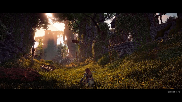 Horizon Zero Dawn szturmem wzięło Steam. Zobacz porównanie grafiki z PS4 Pro