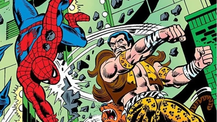 Peter Parker, The Spectacular Spider-Man