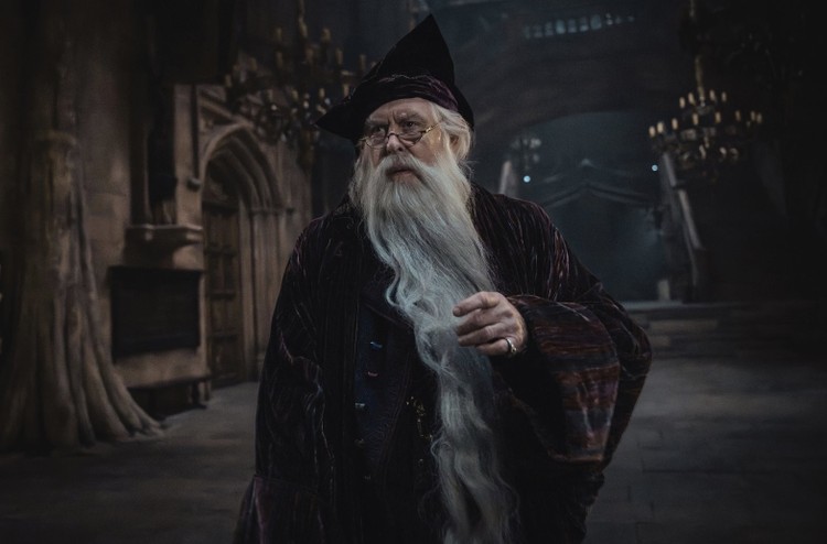 Harry Potter i Kamień Filozoficzny – Albus Dumbledore