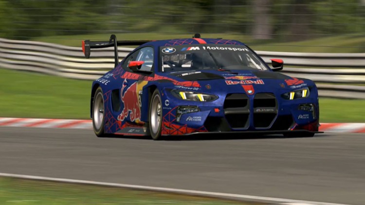 Verstappen Sim Racing