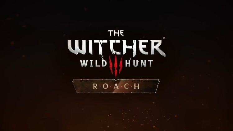 Projekt P.Ł.O.T.K.A. w Wiedźmin 3: Dziki Gon