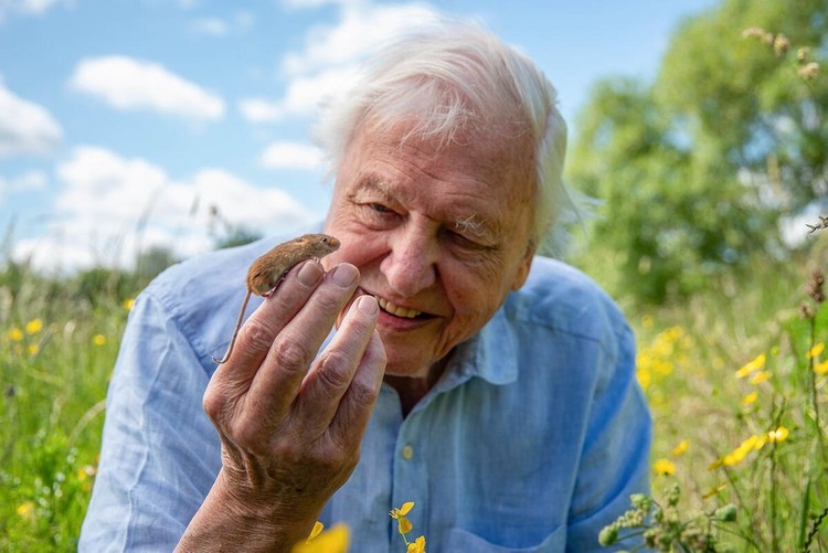 David Attenborough