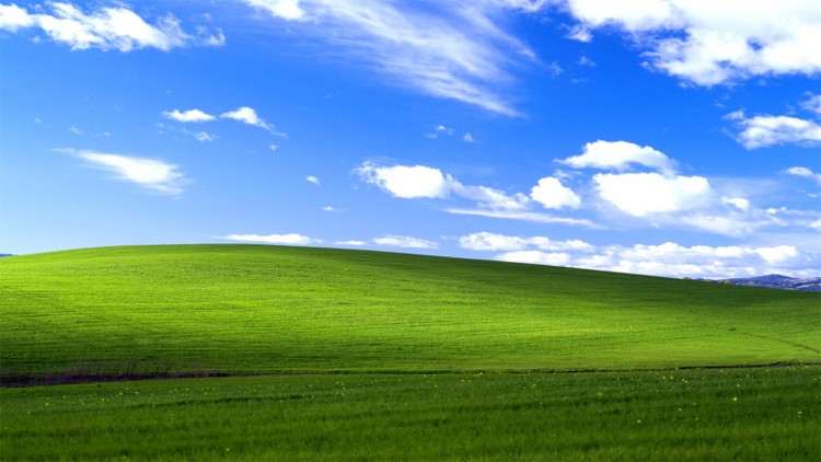 Plotka: po sieci krąży kod źródłowy systemu Windows XP